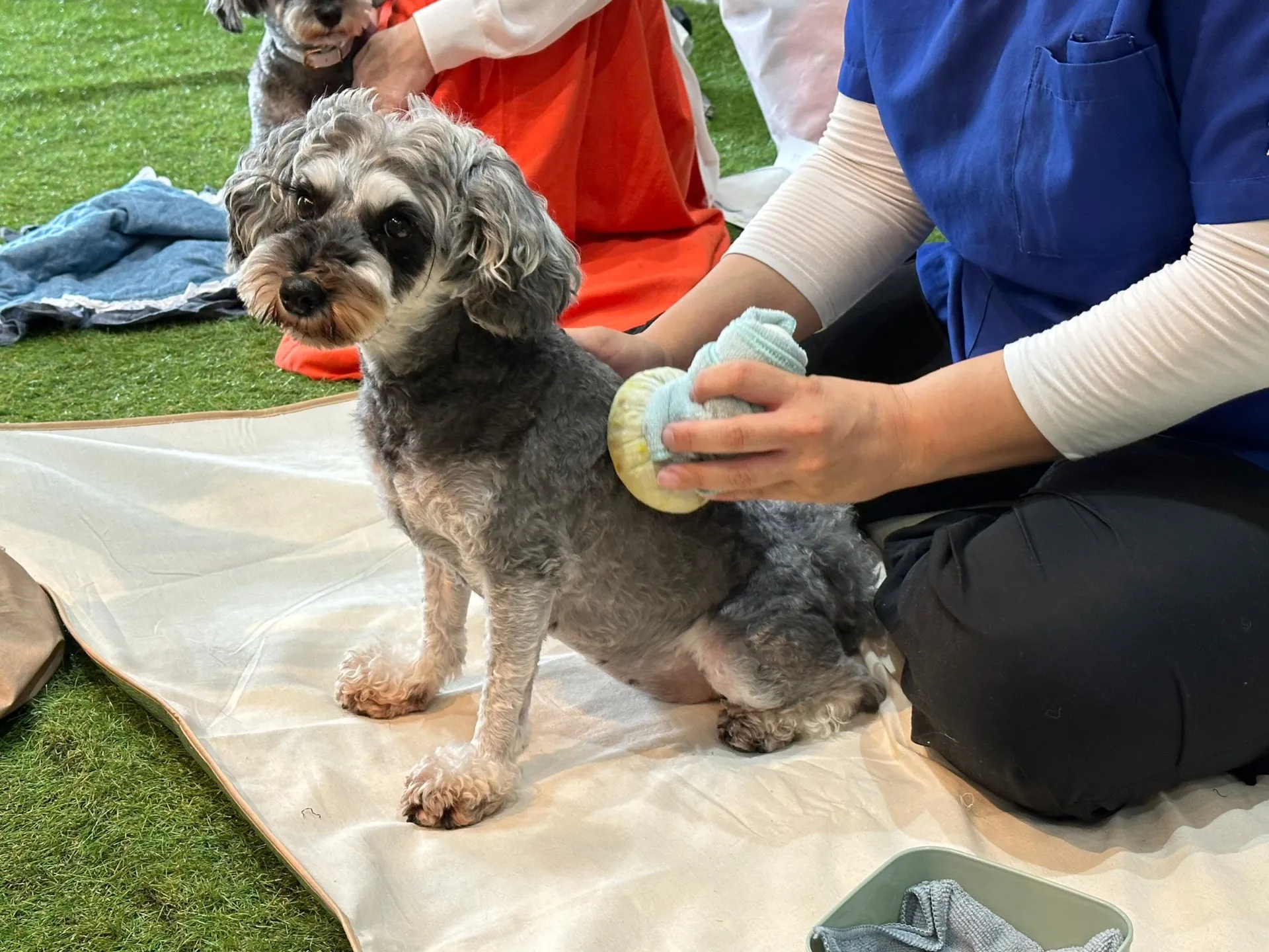 ハーブ蒸しワークショップ23.9.1